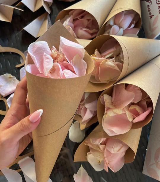 Cones